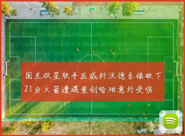 国王双星联手发威科沃德乐福砍下21分火箭遭遇重创哈珀意外受伤