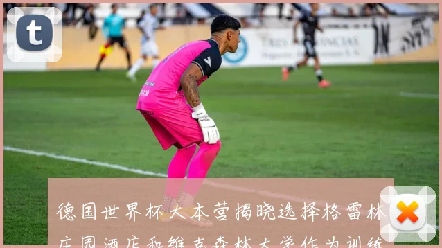 德国世界杯大本营揭晓选择格雷林庄园酒店和维克森林大学作为训练基地