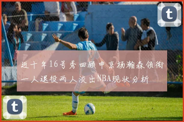 近十年16号秀回顾申京杨瀚森领衔一人退役两人淡出NBA现状分析